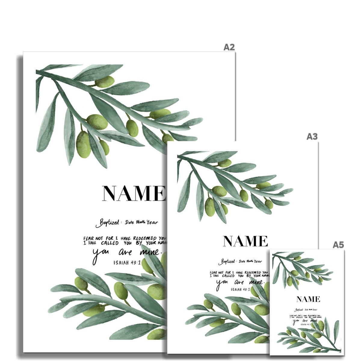 Olive branches Fine Art Print