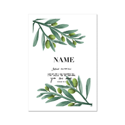 Olive branches Fine Art Print